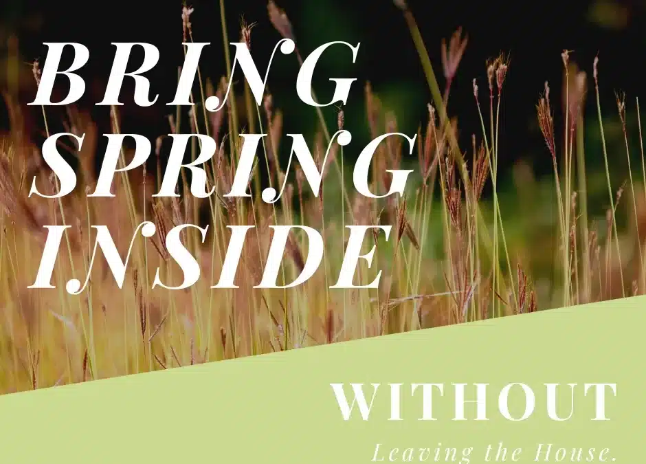 Bring Spring Inside Without Leaving the House