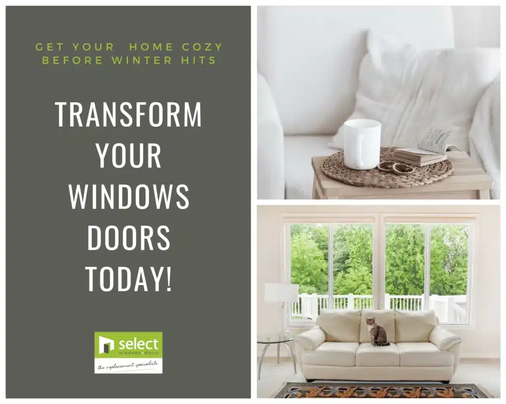 Transform your windows doors