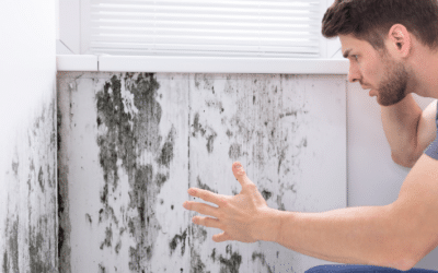 The Hidden Dangers of Water Leaks and How New Windows Can Help Protect Your Home