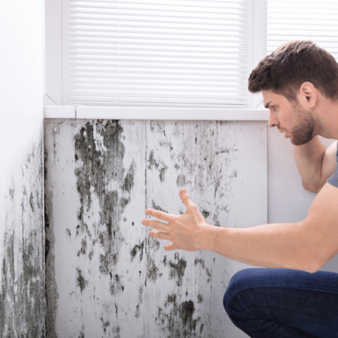 Protect Your Home: New Windows Guard Against Water Leaks