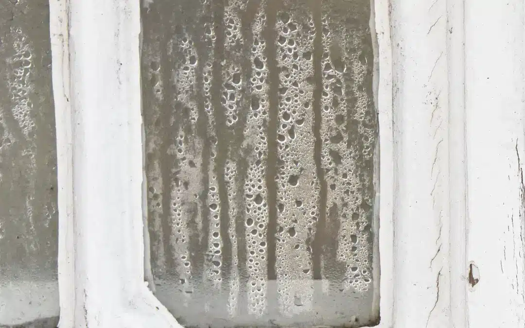 Solving Condensation Winter Woes and Mould Issues for Sydney Homeowners