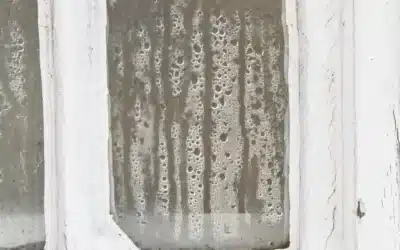 Solving Condensation Winter Woes and Mould Issues for Sydney Homeowners