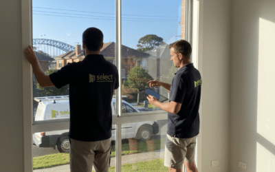 Window Replacement Sydney: Costs, Timelines & What to Expect