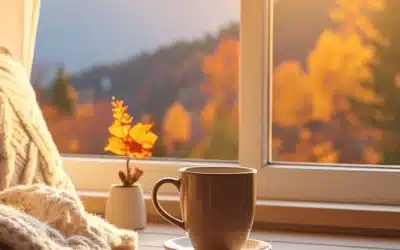 From Autumn Breezes to Winter Warmth – Double Glazing is Sydney’s Smart Year-Round Energy Efficiency Upgrade